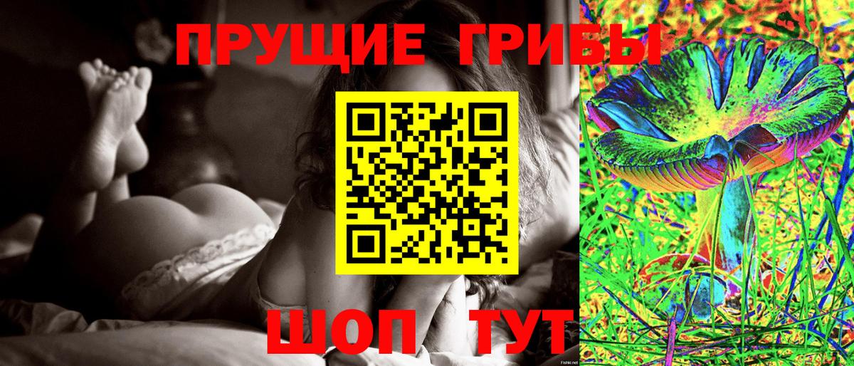 Галлюциногенные грибы Cubensis  Вход с VPN  Санкт-Петербург 